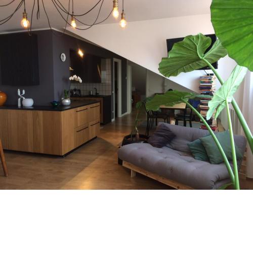 Little Lio Apartment