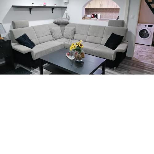Little-Oasis Apartment