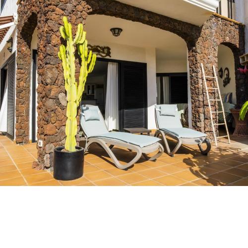 Live Poris Begonia 89