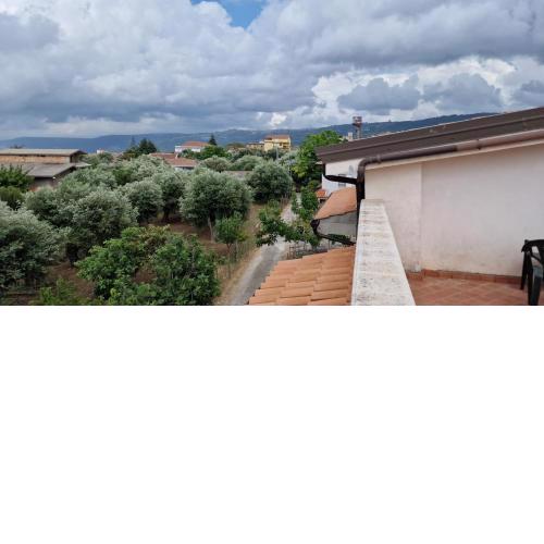 L'Oasi degli Ulivi