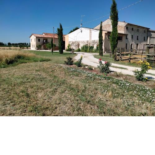 loc tur s pietro app 1