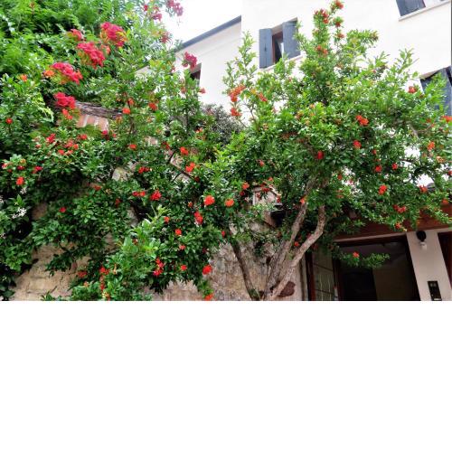 Locanda alla Posta