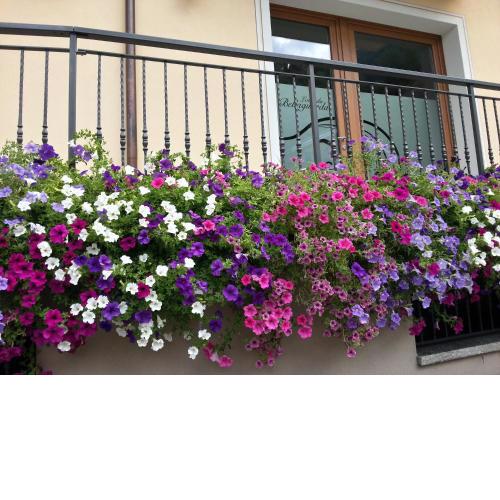Locanda Bellaguarda B&B
