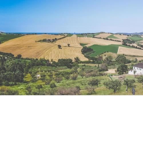 Locanda Belvedere