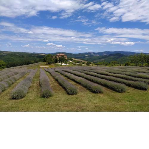 Locanda Cugnanello