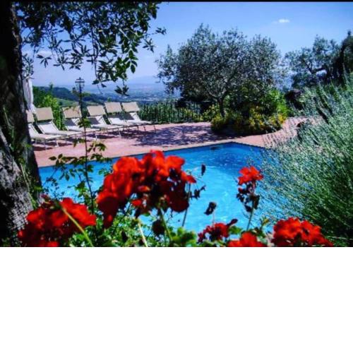 Locanda dell'Angelo