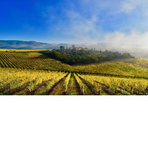 Locanda Le Piazze