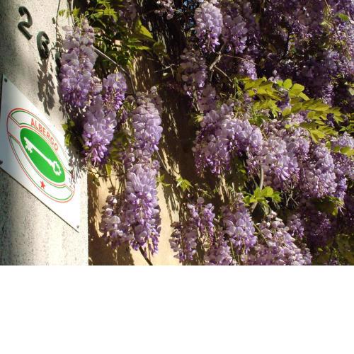 Locanda Sant'Anna Hotel
