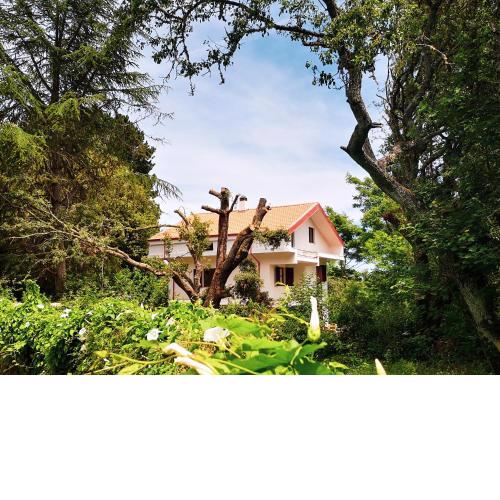 Locanda SottoBosco