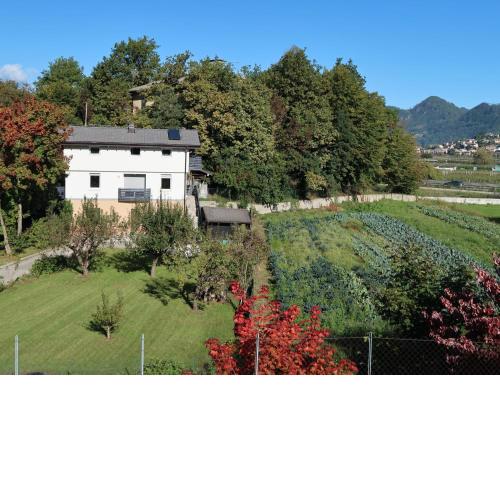 Locazione Turistica Angeli
