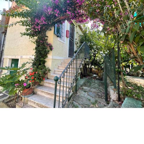 Locazione Turistica Casa del Pernambuco - PTL205
