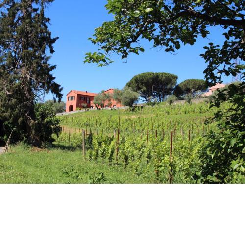 Locazione Turistica Casa dell'Arco