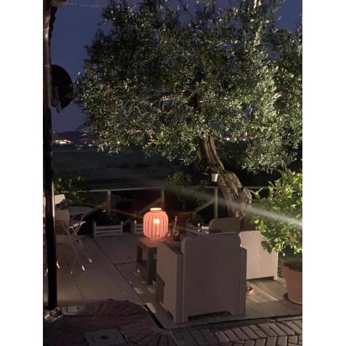 Locazione turistica Casa olivo