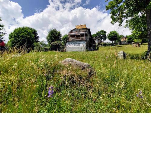 Locazione Turistica Giulia