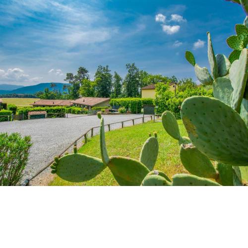 Locazione Turistica I Pini