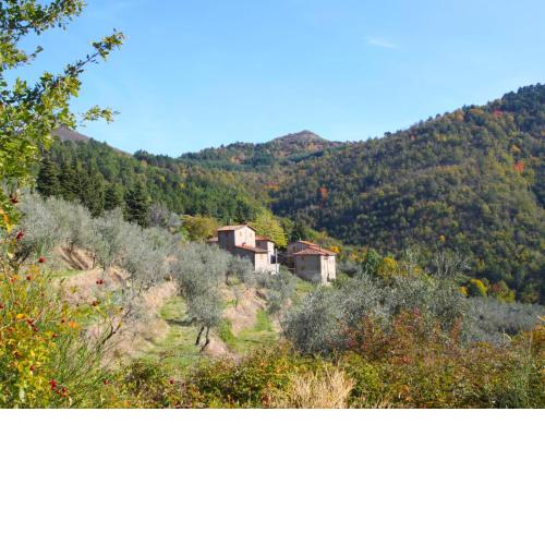 Locazione Turistica La Torre