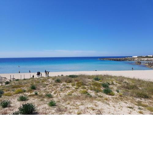 Locazione turistica Le Vele