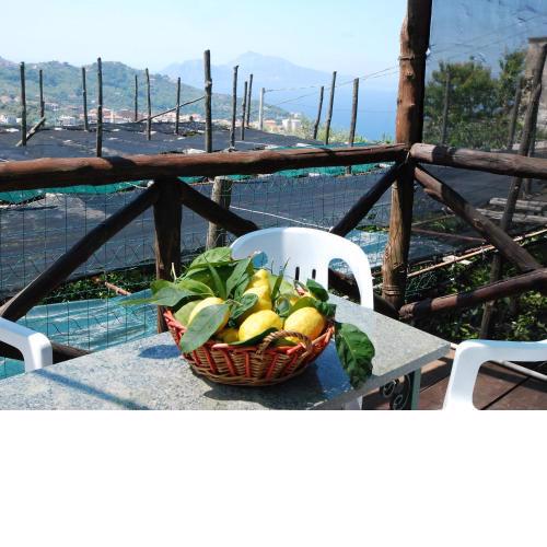 Locazione Turistica Limoneto a Priora
