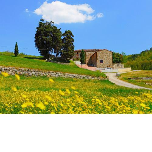 Locazione Turistica Locazione Turistica Selvapiana