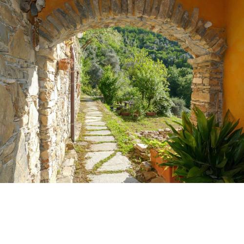 Locazione Turistica Olive House