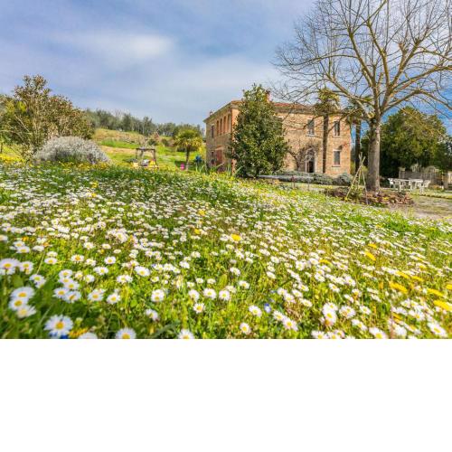 Locazione Turistica Podere Casina