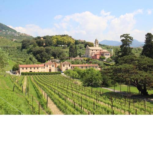 Locazione Turistica Rosetta
