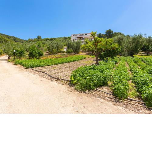Locazione Turistica Villa Tavaglione-1