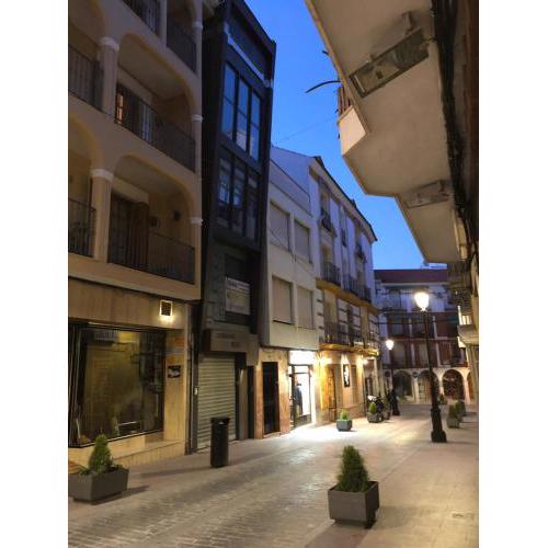 Loft Alcaide 9