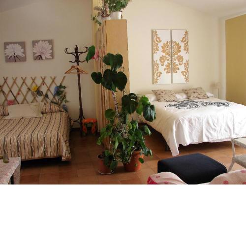 Loft El Carmen