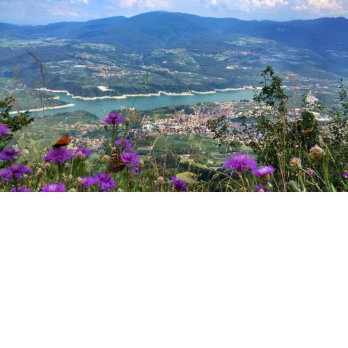 Loft Monte Peller