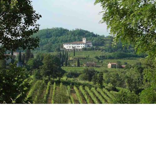 Loft nel collio