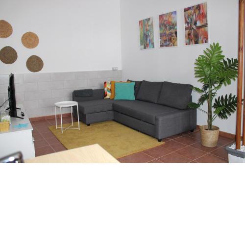 LOFT PINOPE