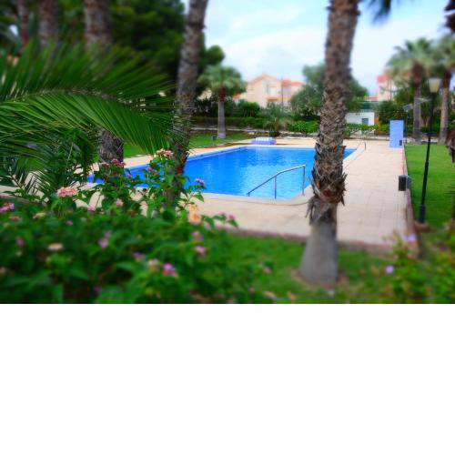 LOS ALAMILLOS 3 Piscina, CAMPO DE FUTBOL y jardin PRIVADOS