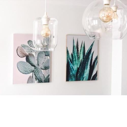 Los Cactus