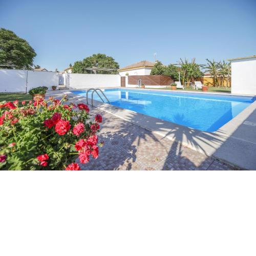 Los paraisos 3