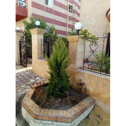 Lotus village Villa 3 bed room and 4 bath room north coast kilo 91