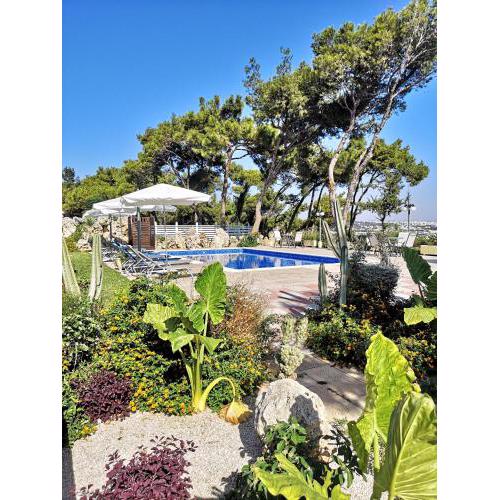Louis Luxury Villa by filoxenia in blue