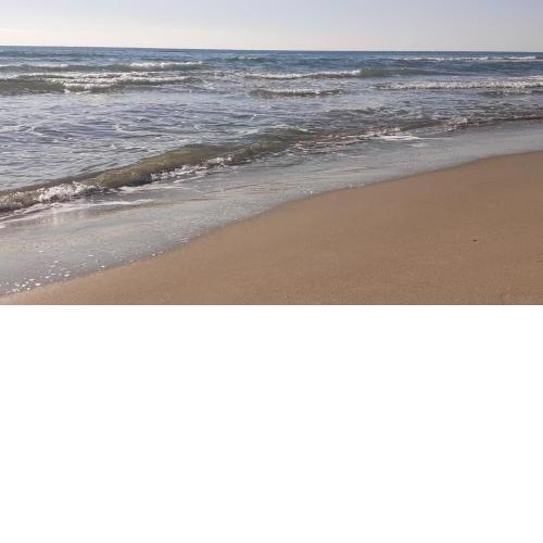Love sunsets beach