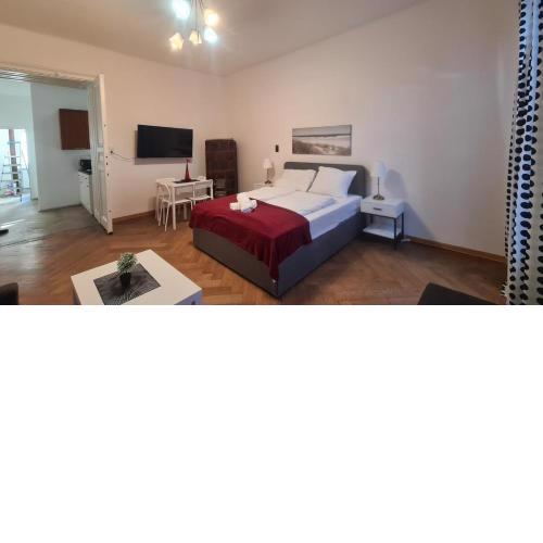 Lovely 1BR Apt. near AKH Hospital