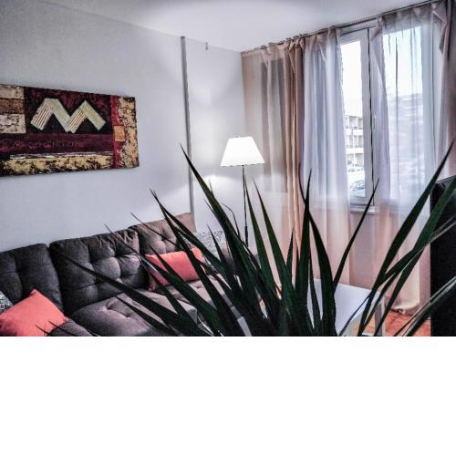 Lovely 2 bedroom Apartment near Las Vistas beach Adults Only!
