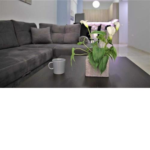 Lovely apartment in the center of Athens.