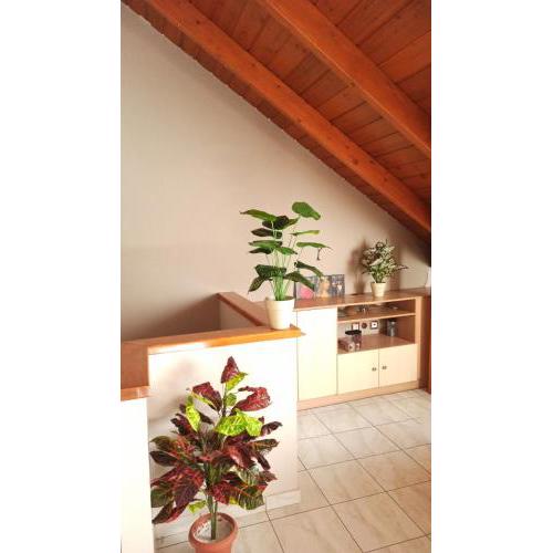 Lovely & Convenience Apartment