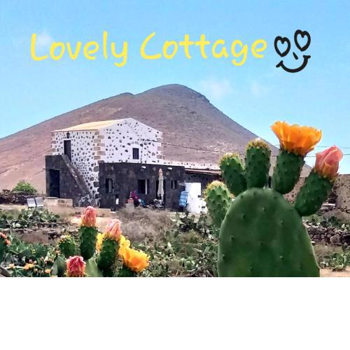 Lovely Cottage