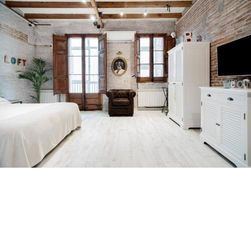Lovely loft near Barcelona center