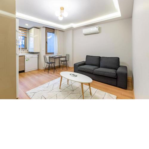 Lovely Modern Flat near Istiklal Street in Beyoglu