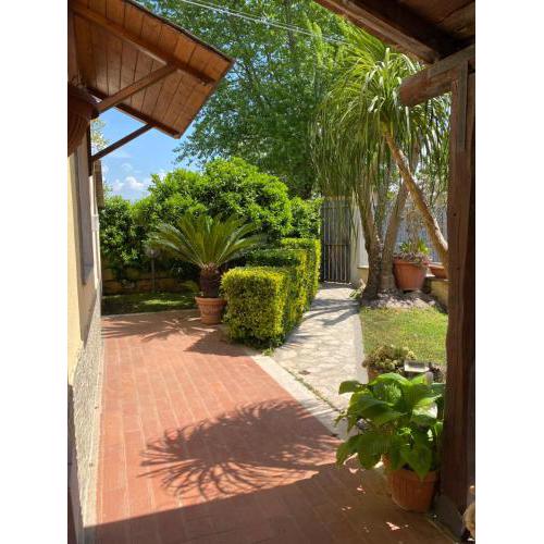 Lovely Studio in Fiumicino