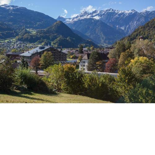 Löwen Hotel Montafon