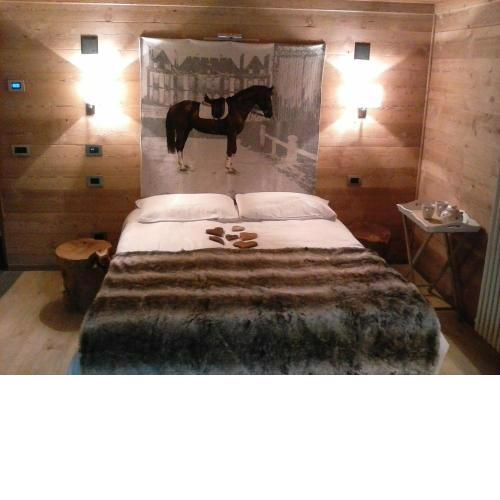LTHorses & Dreams
