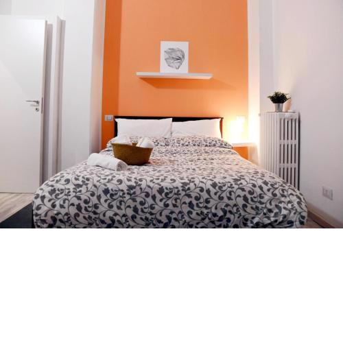 Lucca 22