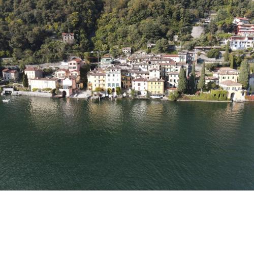 Lugano Lake, nido del cigno